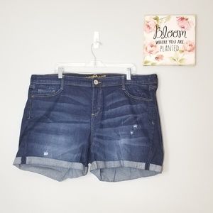 Arizona brand Distressed shorts!